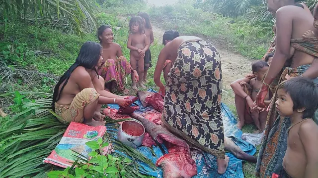 Orang Rimba Jambi