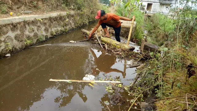 Luberan limbak kotoran peternakan sapi PT Rafles mengotori saluran air warga