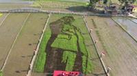 Lansekap Bung Karno di sepetak sawah di Kampung Wisata Gemar Dewi Sri, Bergas, Semarang. (Foto: Liputan6.com/Humas Pemprov Jateng)