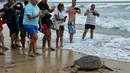 Pelepasan penyu hijau di Pantai Kuta, Bali, Selasa (7/2). Pelepasliaran penyu tersebut menjadi daya tarik tersendiri bagi wisatawan mancanegara yang kebetulan tengah berkunjung ke Pantai Kuta. (AFP PHOTO/ SONNY TUMBELAKA)