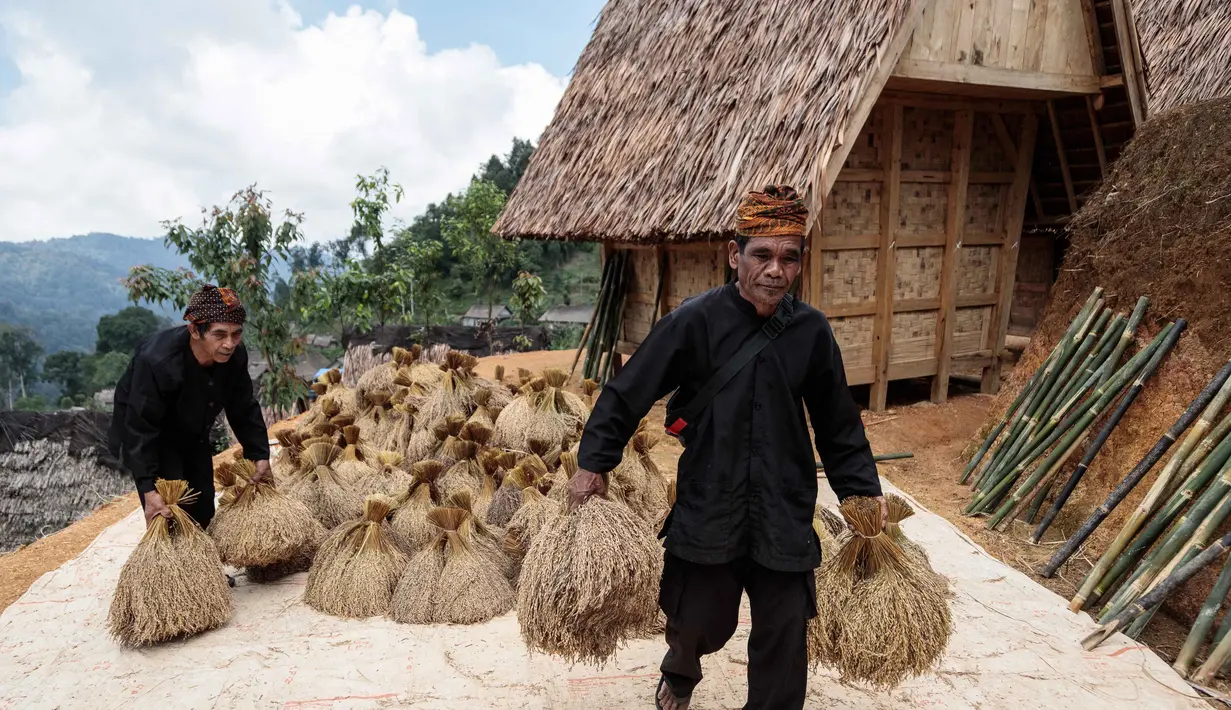 Warga bersiap meletakkan tumpukan padi di lumbung kayu tradisional di atas panggung, yang dikenal masyarakat setempat sebagai leuit, dalam perayaan panen Seren Taun di Sukabumi, Jawa Barat, pada Minggu 5 Oktober 2025. (Aditya AJI/AFP)
