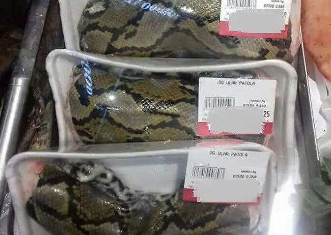 Daging ular piton yang dijual di berbagai pasar modern di Manado laris manis. (Liputan6.com/Yoseph Ikanubun)