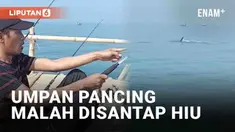 Momen langka sekaligus apes dialami seorang pemancing. Video beredar di media sosial, disebut terjadi di Tanjung Kait, Kabupaten Tangerang. Seorang pemancing kebingungan saat diduga seekor hiu muncul ke permukaan air laut.