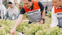 Gapai Ketahanan Pangan dan Ekonomi, Desa Energi Berdikari PTK Bisa Jadi Solusi