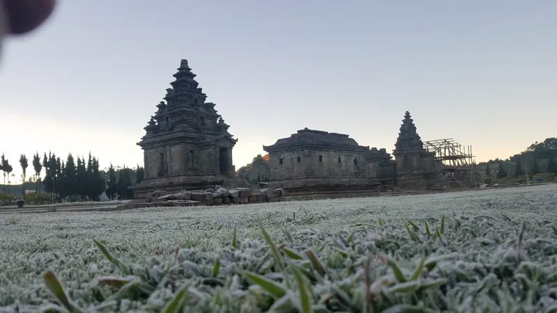 Embun es di kompleks Candi Arjuna, Dataran Tinggi Dieng, Banjarnegara, Jawa Tengah. (Foto: Liputan6.com/UPT Dieng/Muhamad Ridlo)