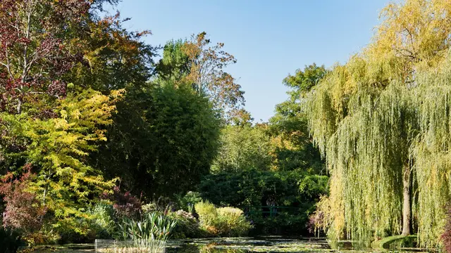 Giverny