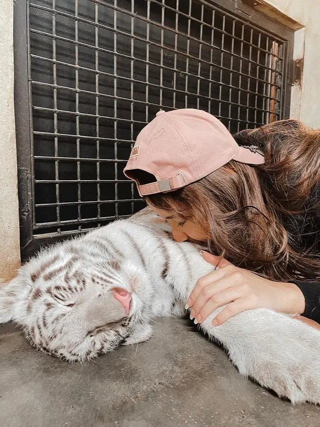Tiara Andini bersama bayi harimau Selena. (Foto: Instagram/tiaraandini)