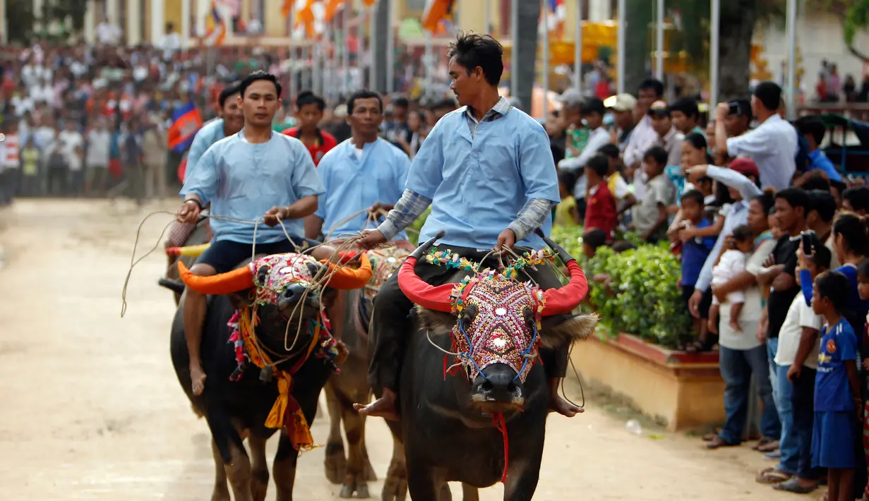 Sejumlah peserta menunggangi kerbau ketika mengikuti balapan dalam Festival Pchum Ben di provinsi Kandal, Kamboja, Rabu (20/9). Lazimnya, Pchum Ben digelar di area percandian atau pagoda, juga kawasan permukiman. (AP Photo/Heng Sinith)