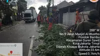 Hujan Disertai Angin Kencang, Pohon Tumbang di Pondok Bambu Jakarta Timur