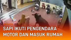 Kejadian kocak namun menegangkan terjadi pada video ini.