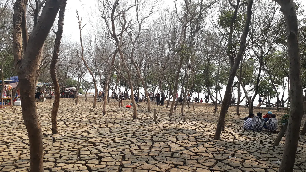 Wisata Tanah Retak di Kawasan Pantai Anom