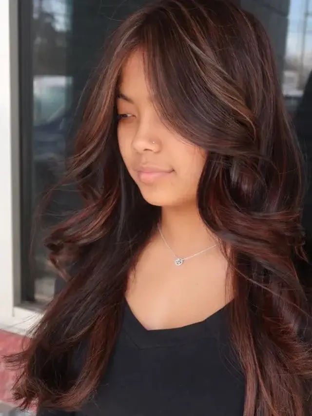 Warna Highlight Rambut Hitam