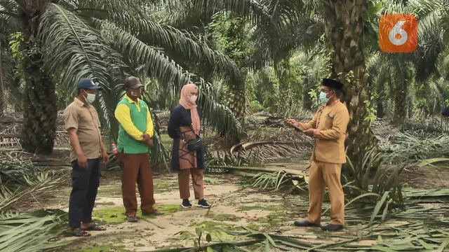 Pemberdayaan di Kebun Sawit