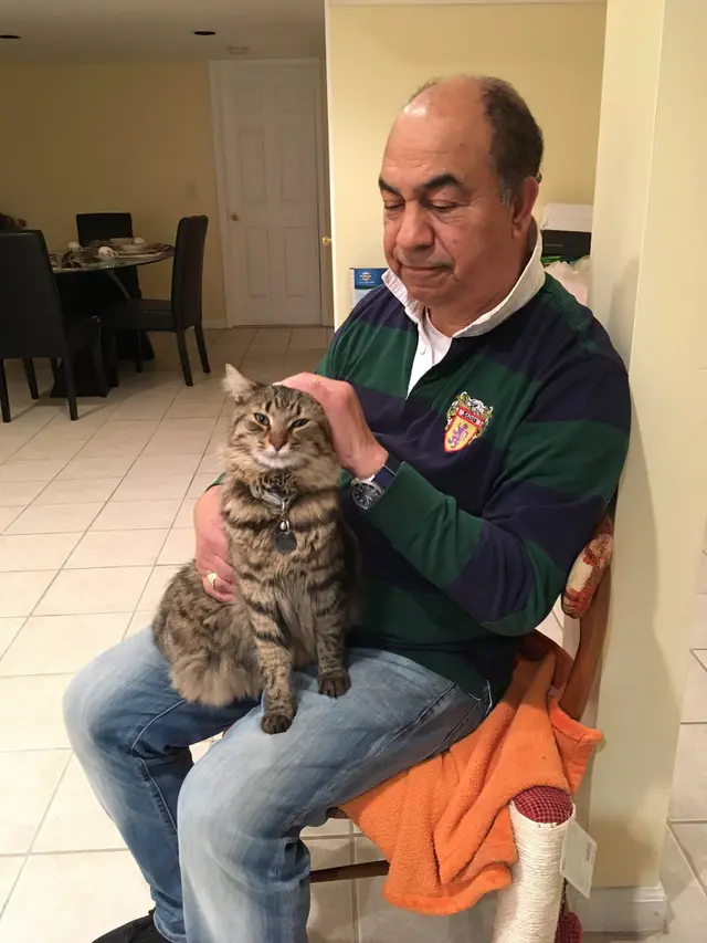 7 potret kedekatan ayah dan kucing