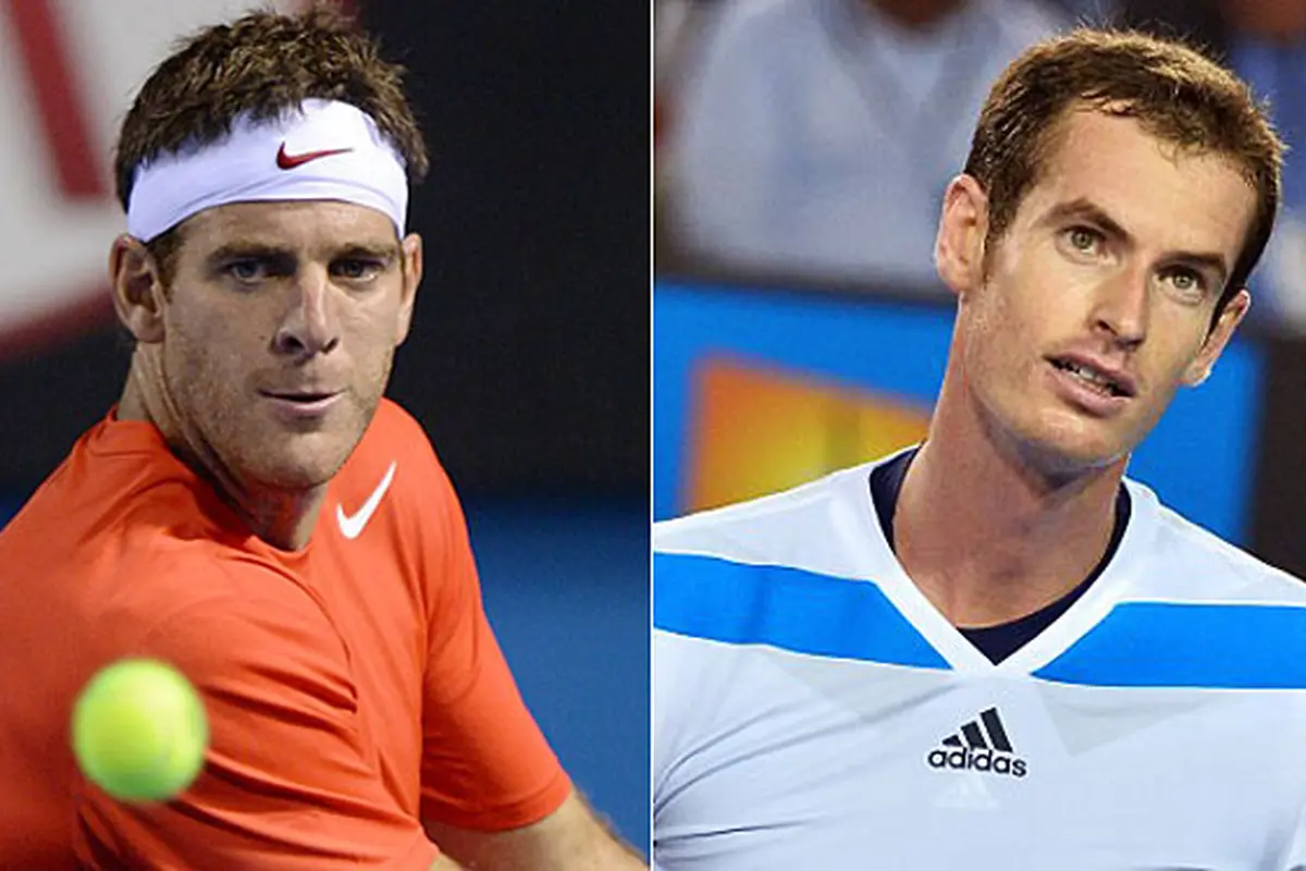 juan-martin-andy-murray-140213b.jpg