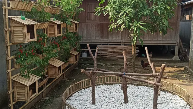 Model Halaman Belakang Rumah di Desa untuk Ternak Kecil. AI