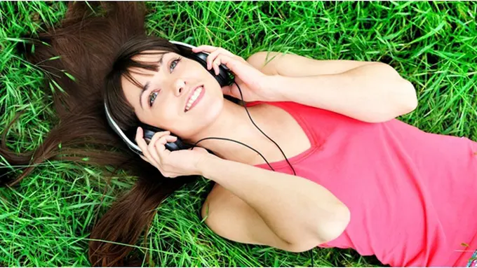 copyright by shutterstock.com