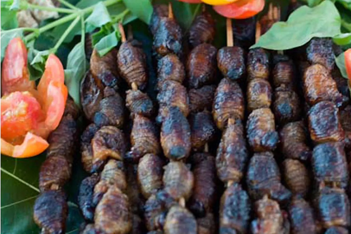Begini Tips Mudah Membuat Sate Ulat Sagu Khas Papua Lezat dan Enak