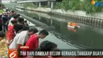 Kemunculan buaya ini membuat warga di sekitar Kali Grogol gempar.
