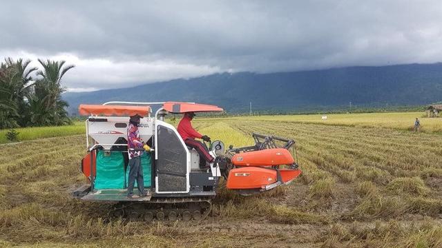 Bupati Fredirikus Gebze Merauke Siap Jadi Lumbung Pangan Papua Bisnis Liputan6 Com