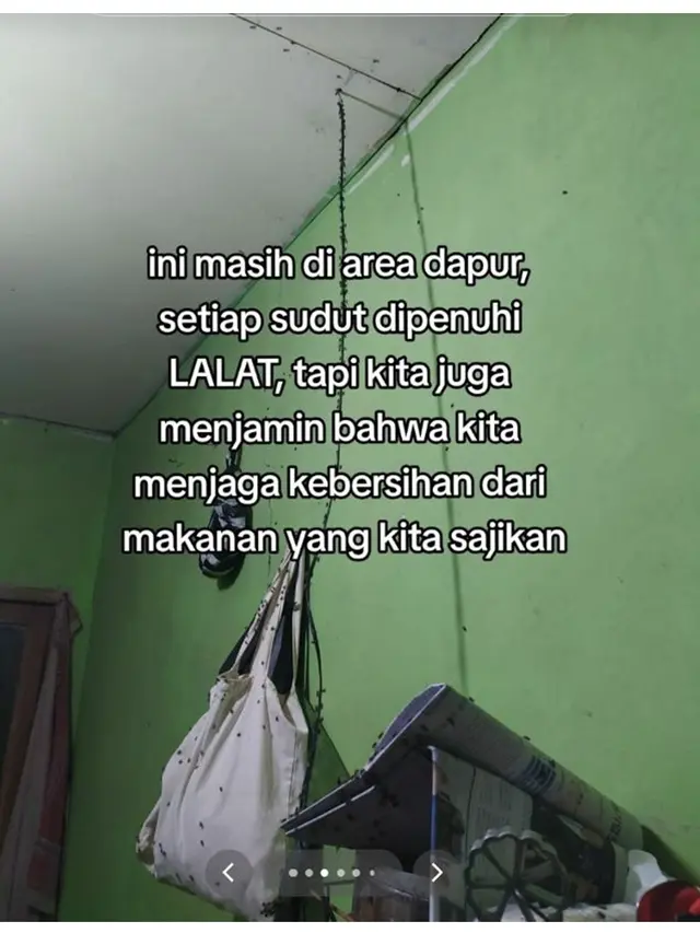 7 Potret Pilu Acara Pernikahan Dipenuhi Ribuan Lalat, Curhatan Pengantin Ini Viral