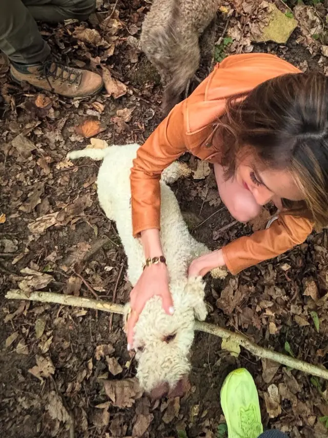 Cinta Laura mencoba pengalaman berburu truffle di hutan Motovun (Instagram/@claurakiehl)