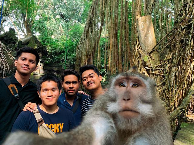 Terkuak Ternyata Begini Trik Foto Selfie Monyet Bareng Manusia Hot Liputan6 Com Lihat ide lainnya tentang foto teman, fotografi, fotografi teman. terkuak ternyata begini trik foto