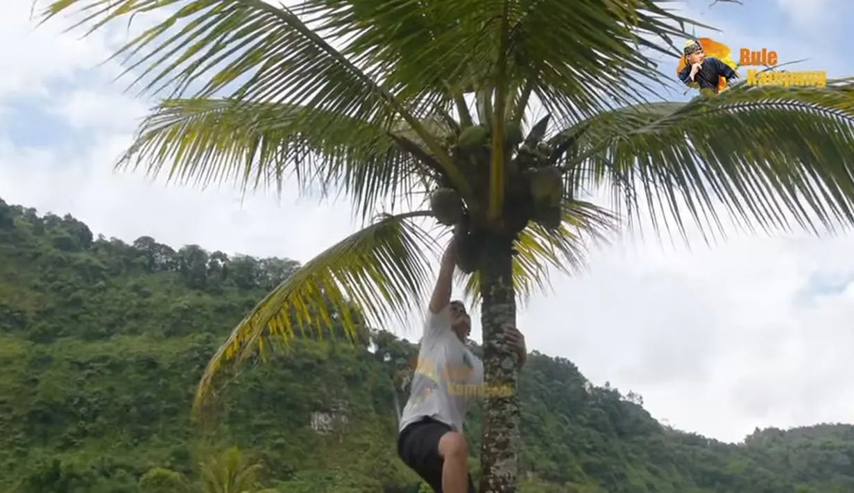 [Youtube/Village Caucasians]