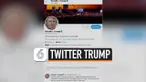 THUMBNAIL TRUMP