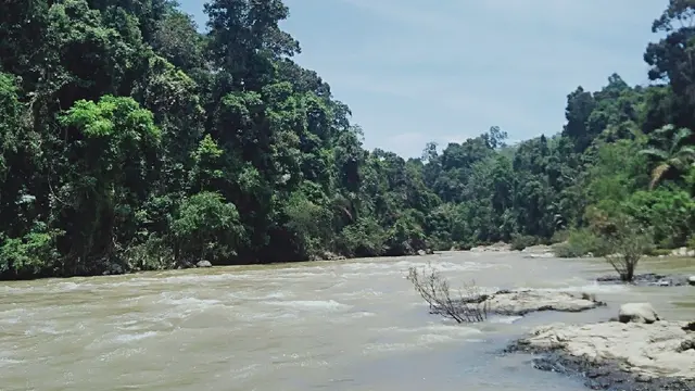 Jalur Geopark Merangin
