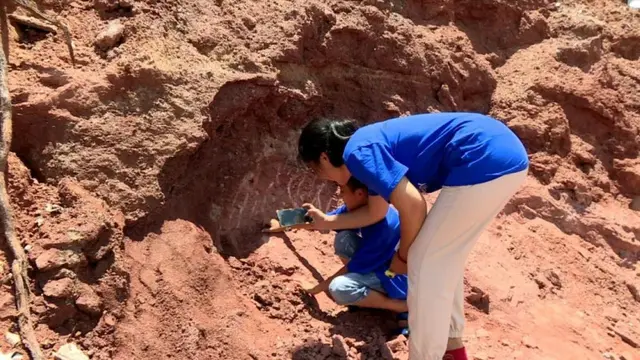 Asyik Main Tanah, Bocah Malah Temukan Telur Dinosaurus