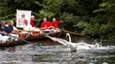 Petugas Penanda Angsa (Swan Marker) berusaha menangkap seekor angsa selama sensus tahunan angsa Ratu Elizabeth yang dikenal sebagai 'Swan Upping' di Sungai Thames, dekat London, Senin (15/7/2019). Tradisi sejak abad ke-12 ini digelar setiap pertengahan Juli selama lima hari. (Tolga Akmen/AFP)