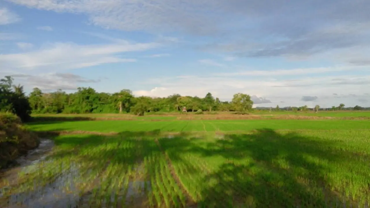 Lokasi Rumah Kabira di Kabupaten Sidrap yang sempat dijadikan tempat pesugihan oleh warga yang mempercayai mitos keramat (Liputan6.com/ Eka Hakim)