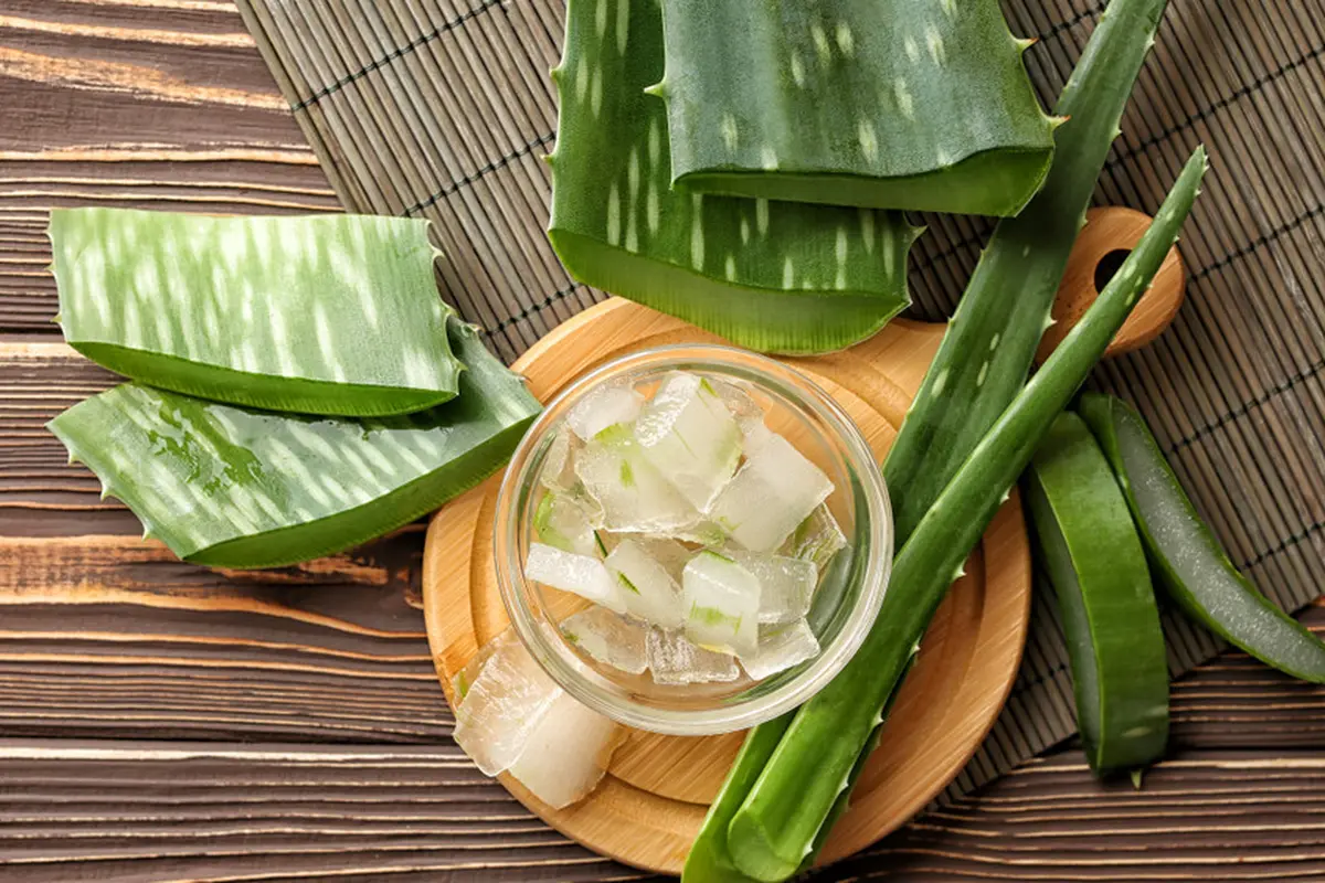 2 Cara Memakai Aloe Vera Gel untuk Dapatkan Rambut Halus dan Berkilau
