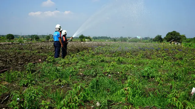 (Foto: Humas Pemkot Surabaya)