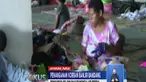Para pengungsi juga mengeluh buruknya sanitasi. Mereka meminta adanya perhatian dari pemerintah.