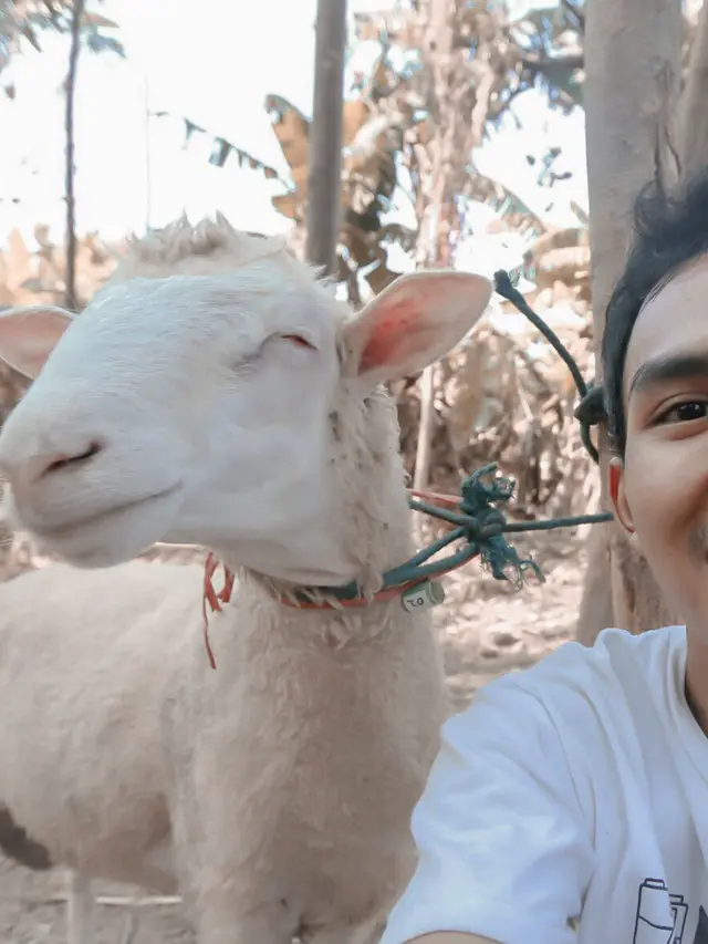 6 Potret Aksi Kocak Hewan saat Foto Bareng Manusia Ini Bikin Ketawa Geli