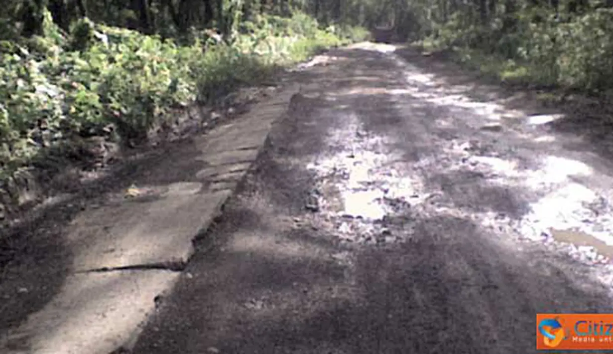 Citizen6, Lamongan: Ruas jalan berluas menganga sepanjang 12 kilometer di wilayah selatan kabupaten Lamongan. (Pengirim: LandaxNocturnal Zaen)