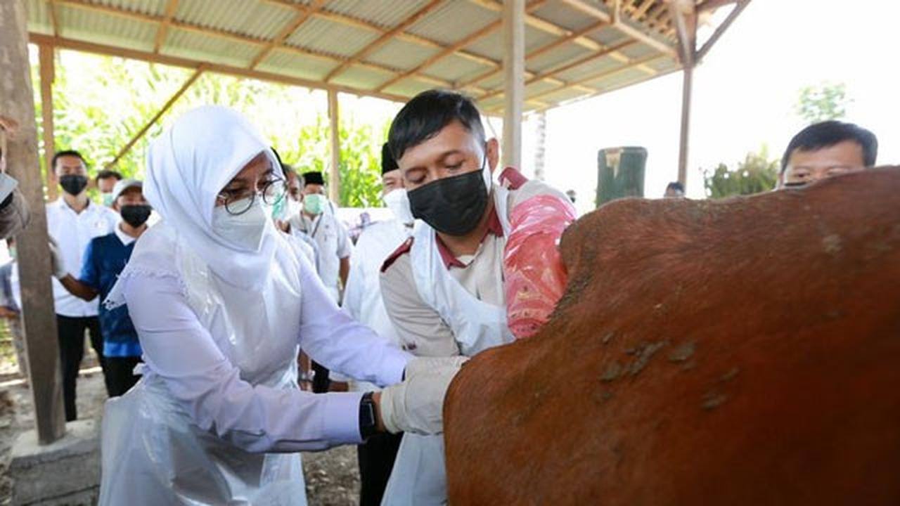 Bupati Banyuwangi Ipuk Fiestiandani Azwar Anas Andalkan Program SMS Pisan