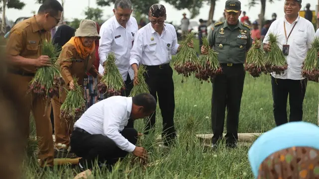 Menteri Pertanian Andi Amran Sulaiman.