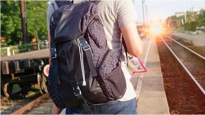 Piknik 2018/coppyright pexels.com