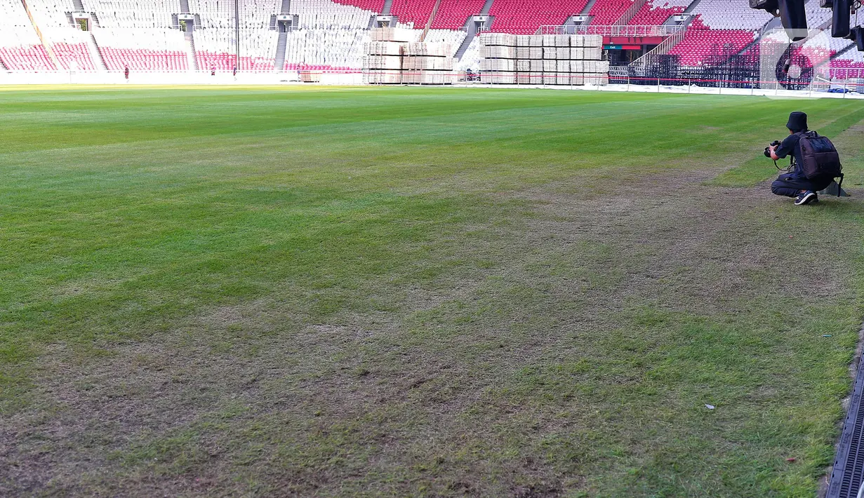 Kondisi rumput Stadion Utama Gelora Bung Karno (SUGBK) di Senayan, Jakarta, Senin (13/3/2023). Rumput lapangan SUGBK cukup memprihatinkan setelah stadion yang akan digunakan untuk Piala Dunia U-20 2023, dipakai menggelar dua konser musik. (Liputan6.com/Angga Yuniar)