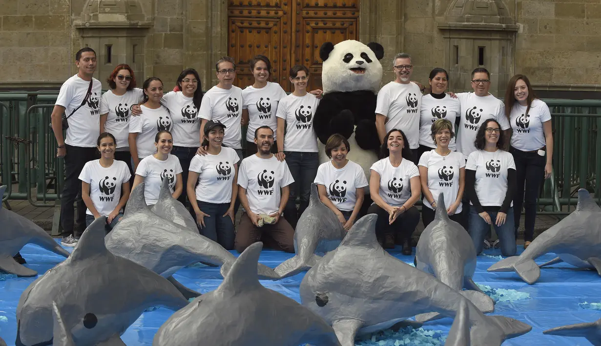 WWF mendukung Meksiko yang menjadi negara pertama yang memberlakukan larangan jaring untuk menangkap ikan dan berharap bisa diikuti oleh negara lainnya, Mexico City, Sabtu (8/7). (AFP/ Alfredo E)