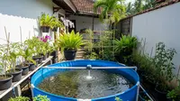 5 Desain Kolam Bundar untuk Budidaya Udang yang Hemat Tempat dan Produktif