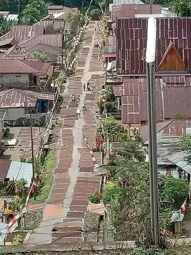 Kumpulan Potret Padi Dijemur di Tengah Jalan, Kendaraan Bermotor Jadi Sulit Melintas (ist)