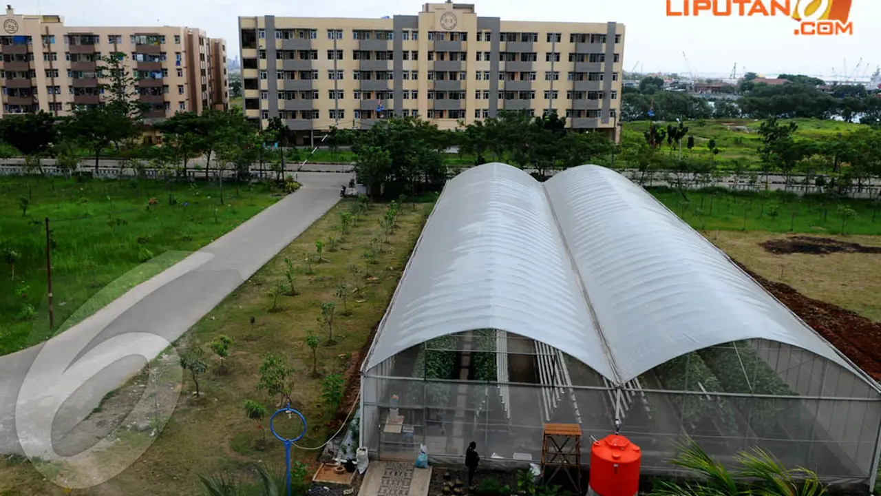 Green House Bikin Rusun Marunda Terlihat Asri