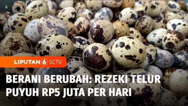 Seorang pria asal Magelang, jatuh bangun mengembangkan bisnis telur puyuh. Sempat nyaris gulung tikar, usahanya kini berkembang pesat, hingga akhirnya bisa menghasilkan cuan yang luar biasa. Berikut adalah Berani Berubah, episode Rezeki Telur Puyuh R...