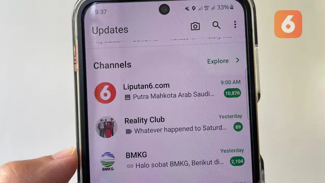 Ilustrasi WhatsApp Channel