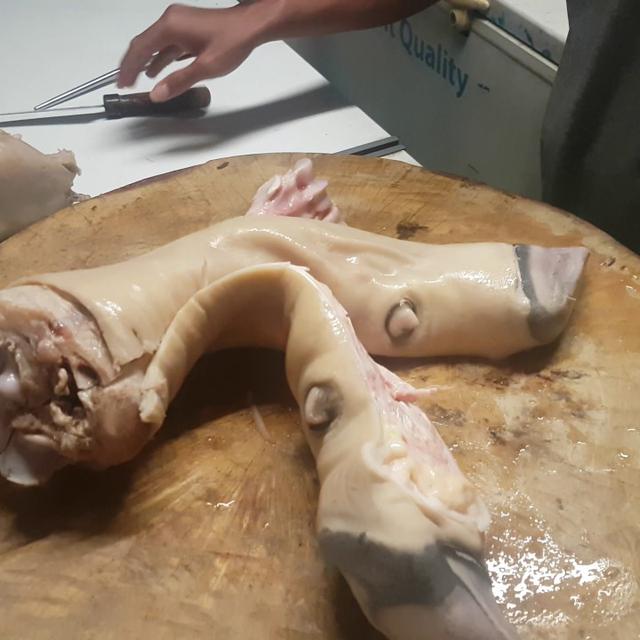 Daftar Harga Kikil Sapi Bulan November 2021 Terbaru