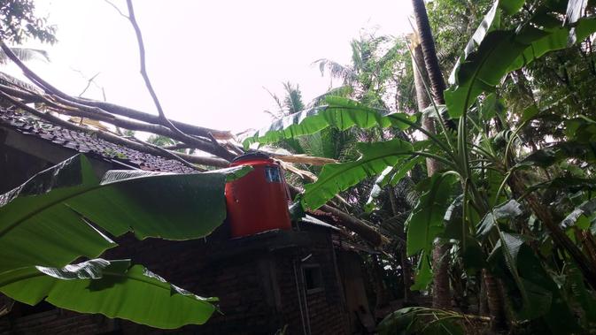 Rumah di Purwasari, Kecamatan Wanareja, Cilacap, rusak tertimpa pohon tumbang akibat terjangan angin kencang disertai hujan lebat. (Liputan6.com/BPBD Cilacap/Muhamad Ridlo)